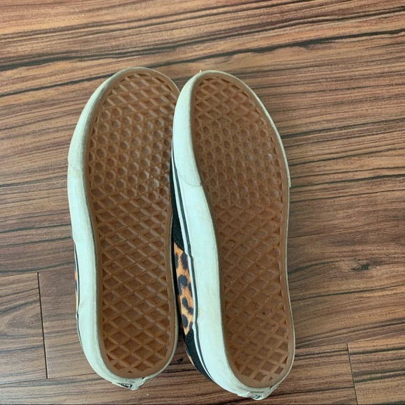 Cheetah Vans - Picture 6 of 9